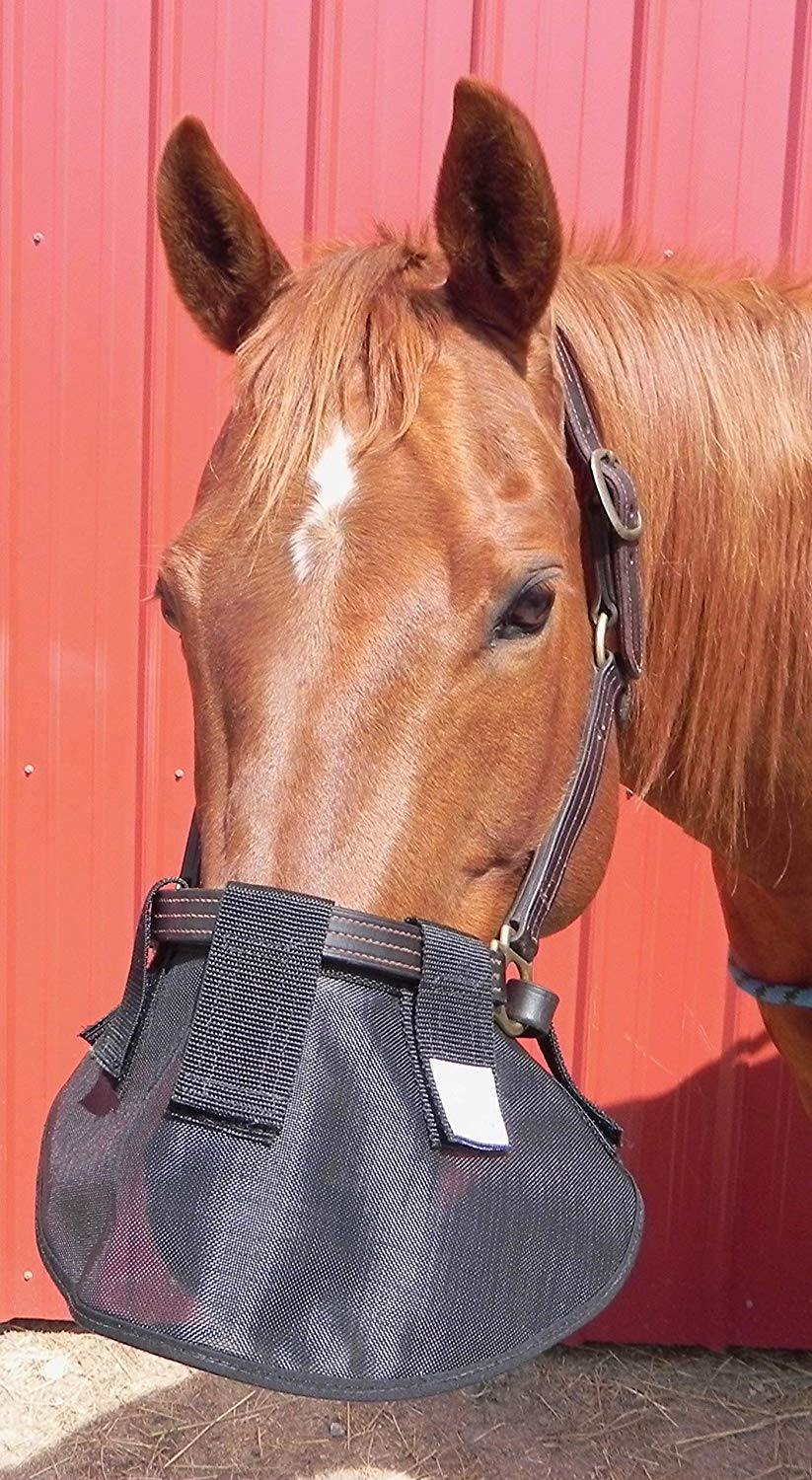 Protege Nez Anti UV 90% pour licol - SHOPHORSE